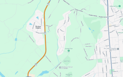 SC DOT Paving Springdale Drive Beginning April 30