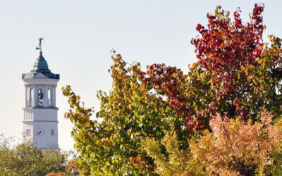 City of Camden Hosts Community Tree-Planting Day