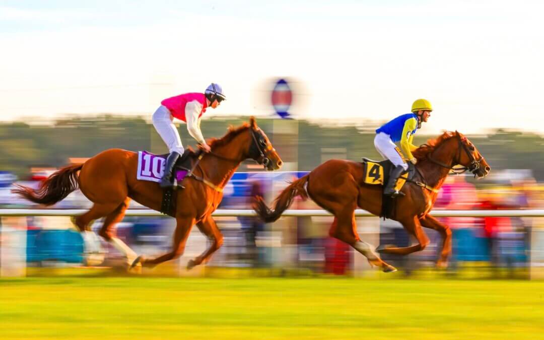 Camden Gears Up for the 50th Running of the Colonial Cup