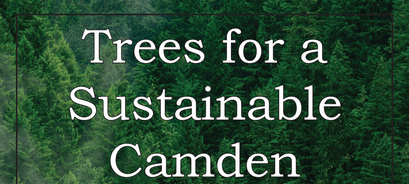 planting day - Experience Camden, South Carolina