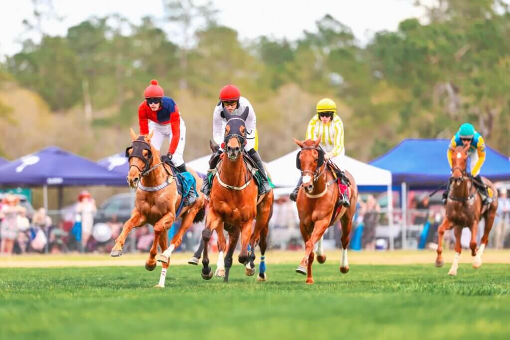 2025 Carolina Cup - Experience Camden, South Carolina