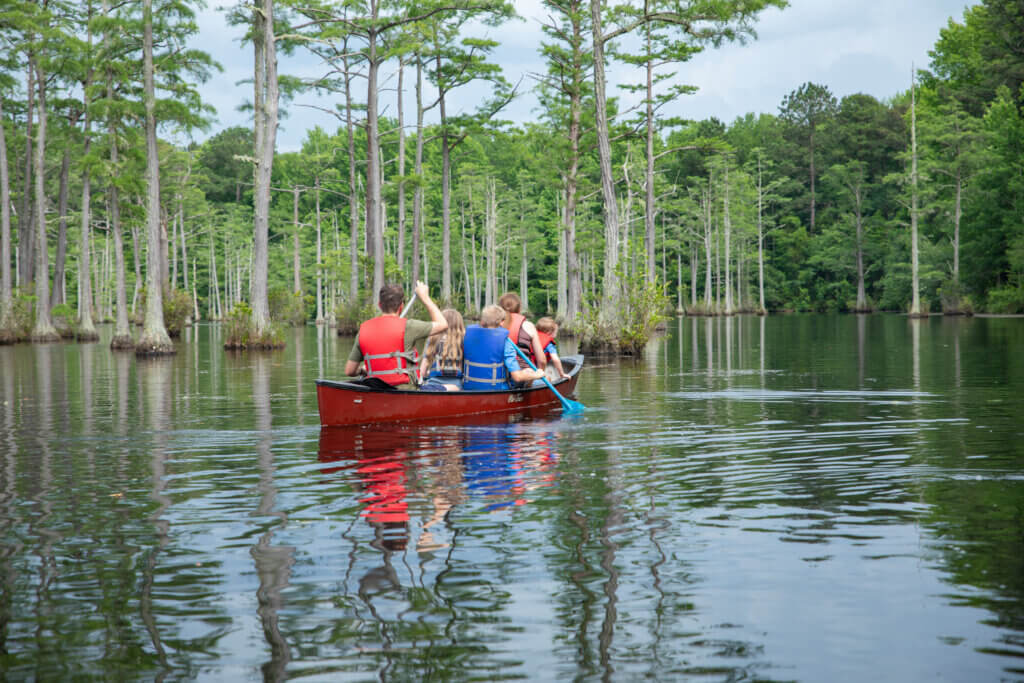 Group paddling a red canoe with several people wearing life jackets through a swampy forest of tall trees and calm, reflective water.