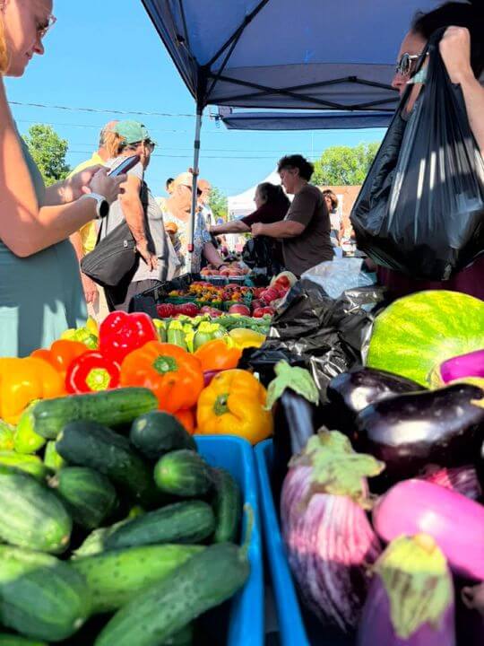 kcfmweb1 - Experience Camden, South Carolina A vibrant farmers market scene with people shopping for fresh produce, including cucumbers, bell peppers, and eggplants, under a blue canopy on a sunny day.