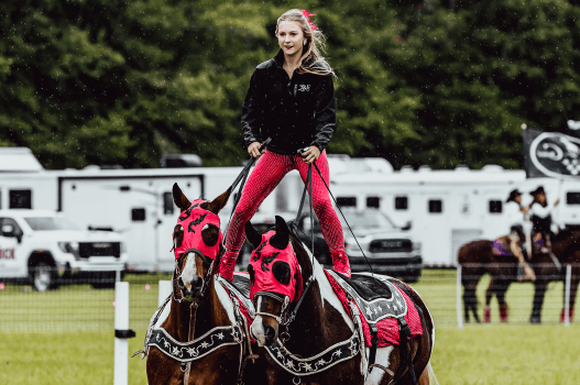 expo-vault A performer in red pants stands on two horses wearing matching red and black gear during an outdoor equestrian event, with trailers and people in the background.