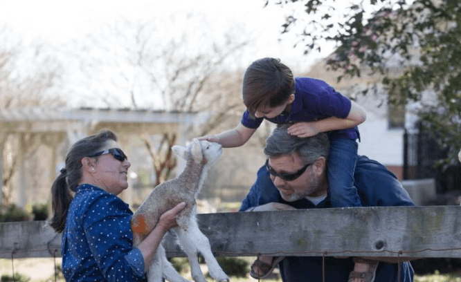 fallfamilyfarmday - Experience Camden, South Carolina A woman holds a small lamb as a boy, sitting on a mans shoulders, gently pets it over a wooden fence. All three are smiling and outdoors on a sunny day.